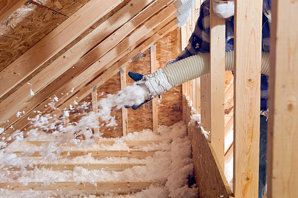 Best Weatherproofing Services  in Central, LA